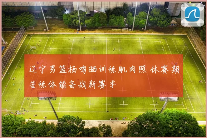 辽宁男篮杨鸣晒训练肌肉照 休赛期苦练体能备战新赛季