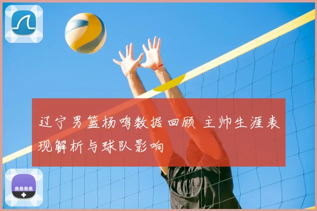 辽宁男篮杨鸣数据回顾 主帅生涯表现解析与球队影响